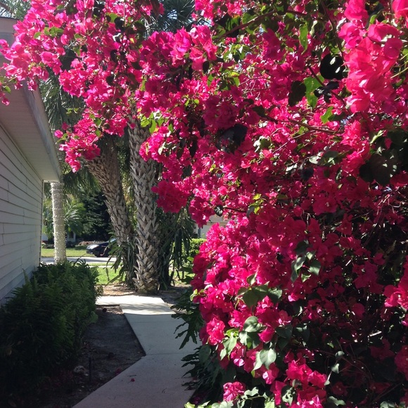 Meet your Posher, Beth - Picture 1 of 1